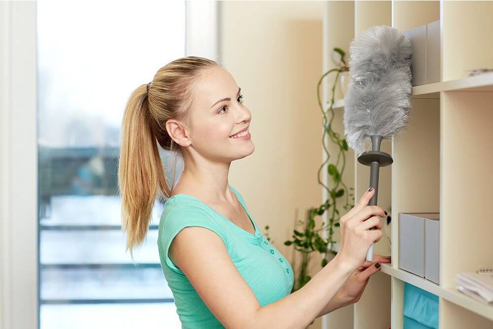 Upholstery Cleaning Tufnell Park N7