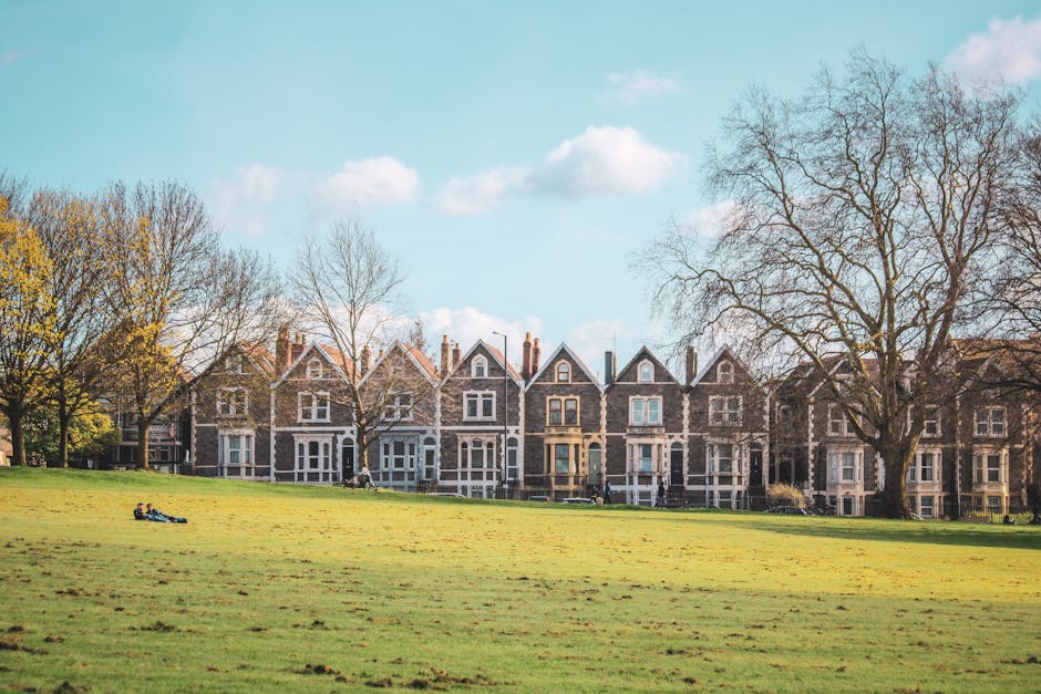 A row of historic terraced houses with brick facades and white window frames, situated along a large, open grassy park area. The park features a wide expanse of green grass with some patches of dirt and a few people relaxing on the lawn. Tall trees with bare branches flank the scene, and the sky above is clear with a few scattered clouds, indicating a bright, sunny day. The overall setting appears peaceful and well-maintained, ideal for outdoor leisure activities. This image captures the residential architecture typical of Tufnell Park, highlighting the community's traditional housing and green public spaces. Tufnell Park Carpet Cleaning emphasizes the importance of clean, hygienic surfaces within homes and community environments, aligning with standards for deep cleaning and sanitisation.